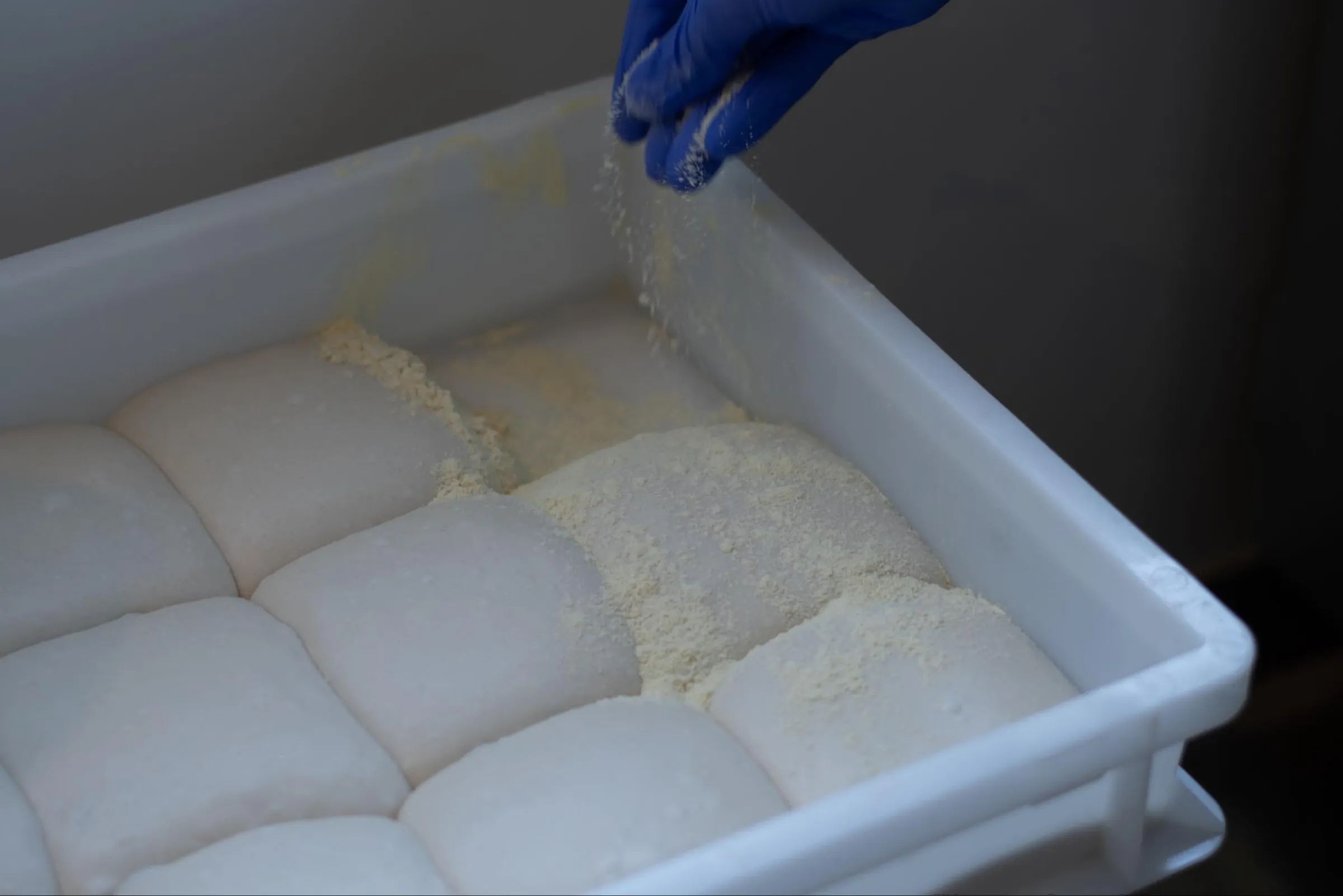 Pizza i den 500°C varma vedugnen